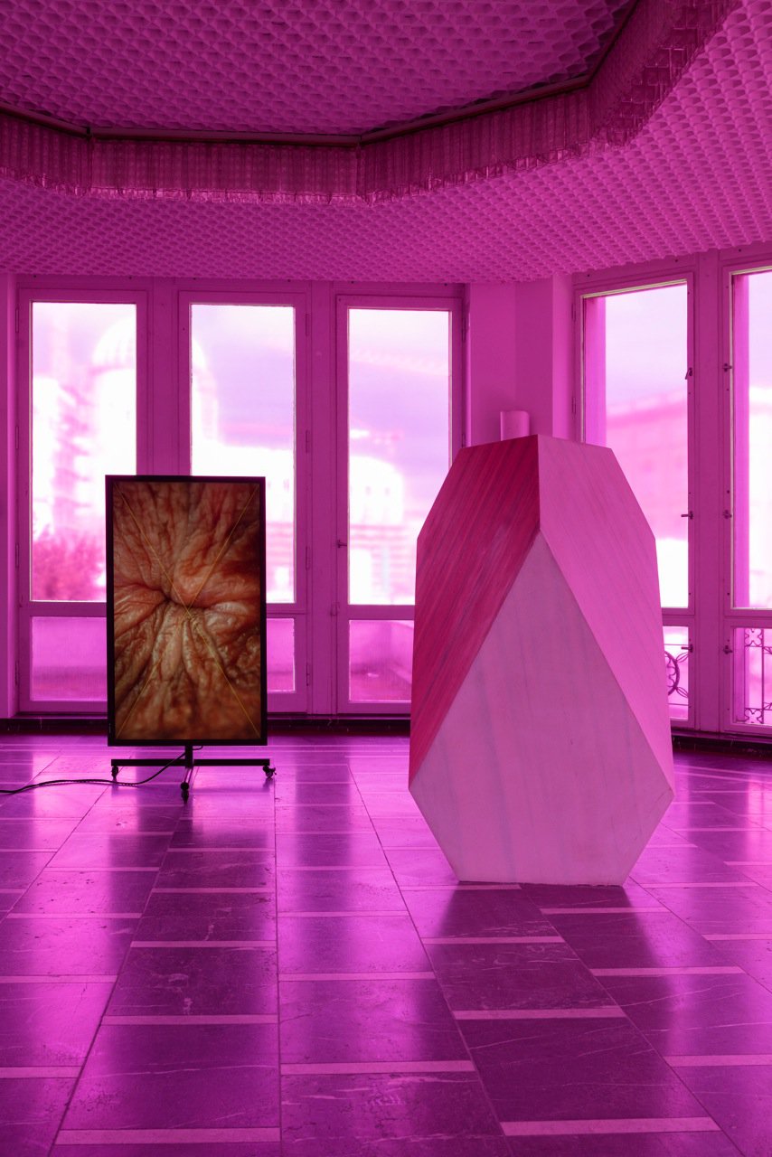 Shahryar Nashat, Installation view, Hard Up For Support, Schinkel Pavillon, Berlin, 2016