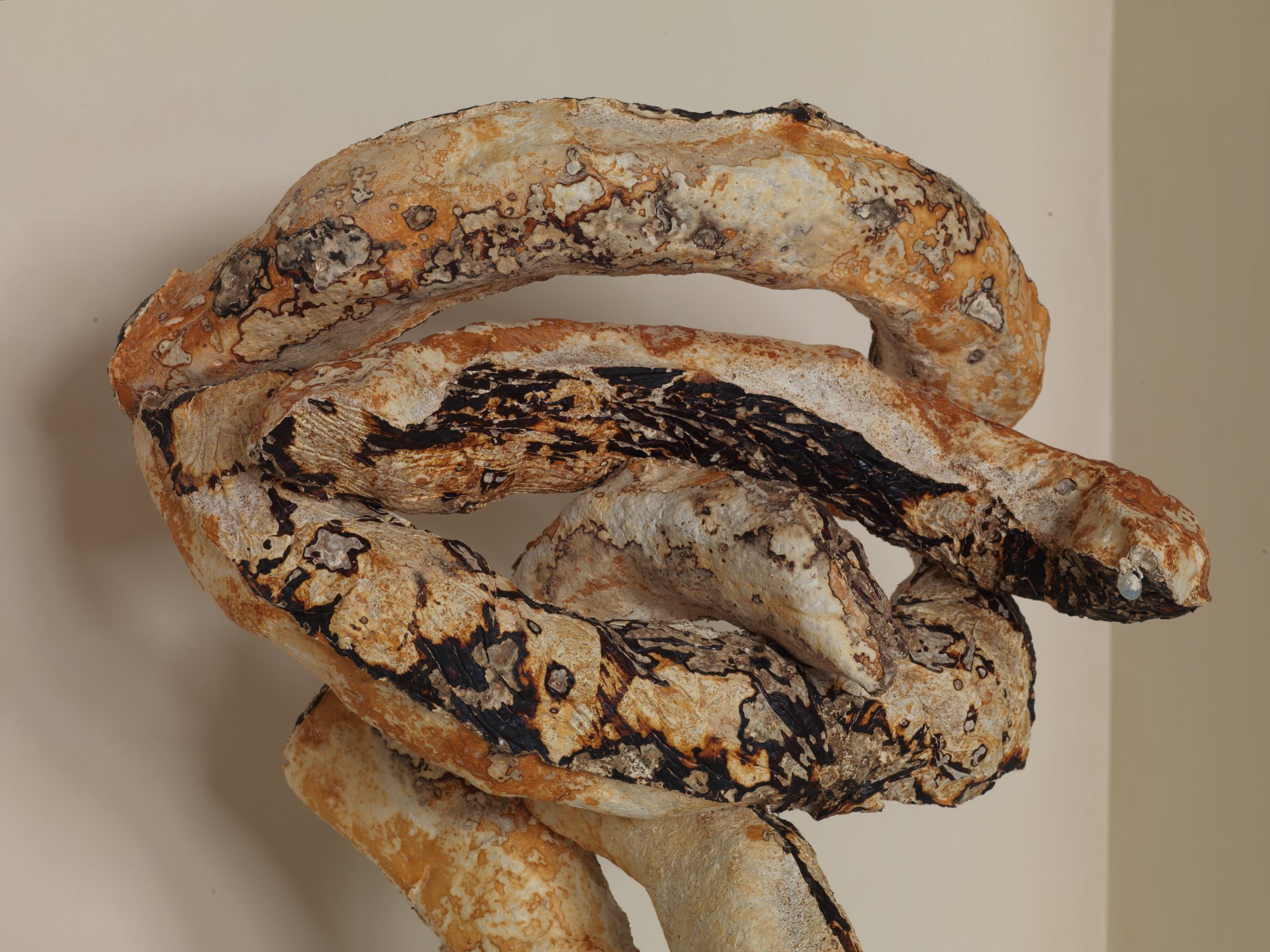 Nour Mobarak, Dafne Copy, detail, trametes mycelium, glass beads, string, 45 x 50 x 20 cm (17 3/4 x 19 3/4 x 7 7/8 in), 2023