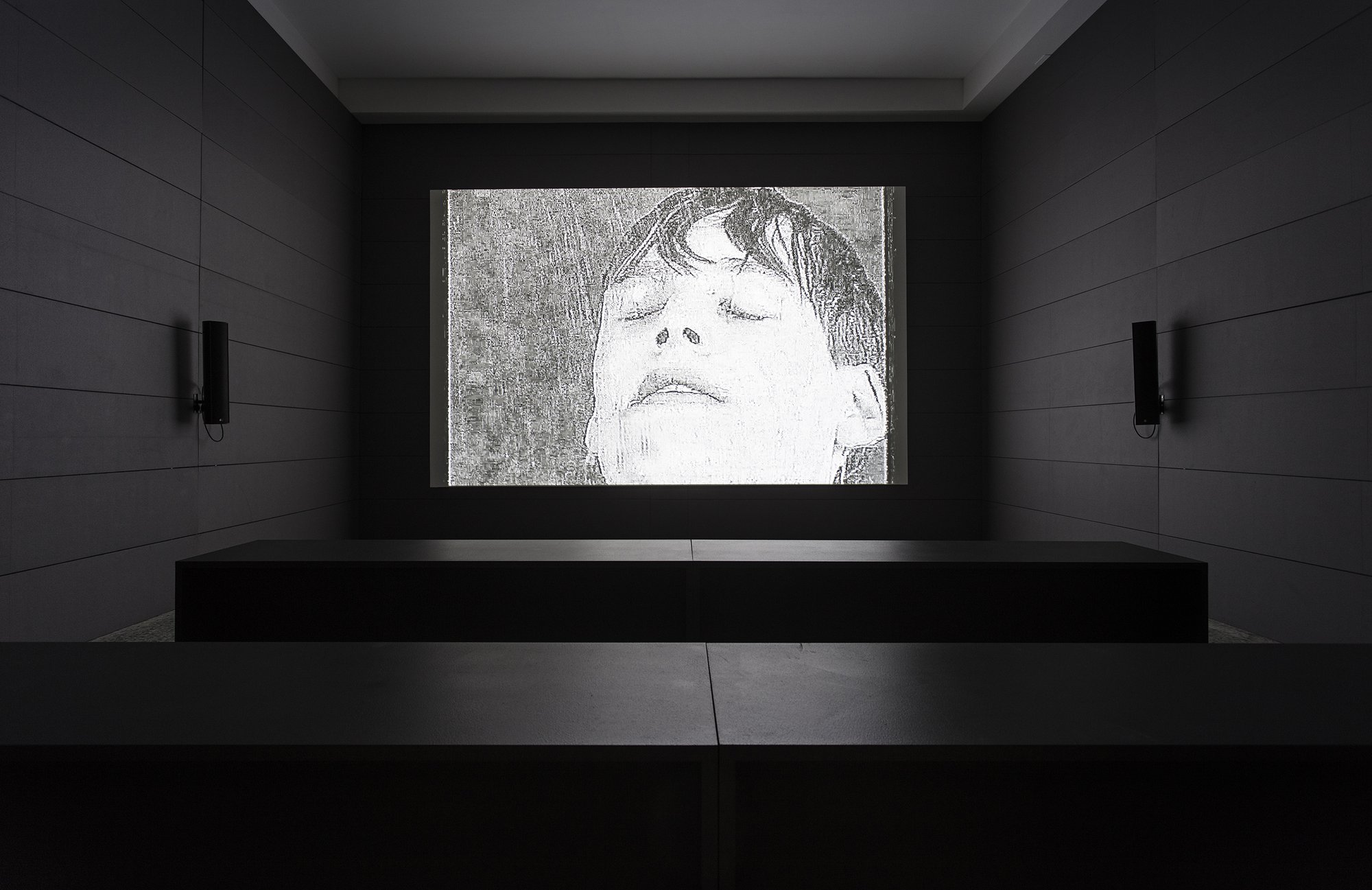James Richards and Steve Reinke, What Weakens the Flesh is the Flesh Itself, still, digital video with sound, 40 min., 2017. Installation view, Music for the Gift, Cymru Yn Fenis, Wales in Venice, Venice Biennale, Venice, 2017