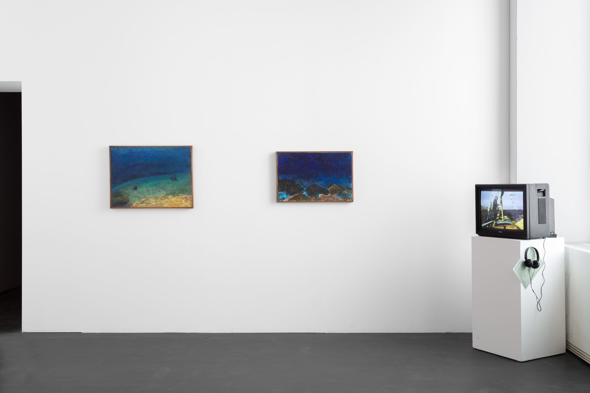 Estate of Yiannis Maniatakos, Installation view, Mutual Aid. Art in Collaboration with Nature, Castello di Rivoli Museo d’Arte Contemporanea, 2025