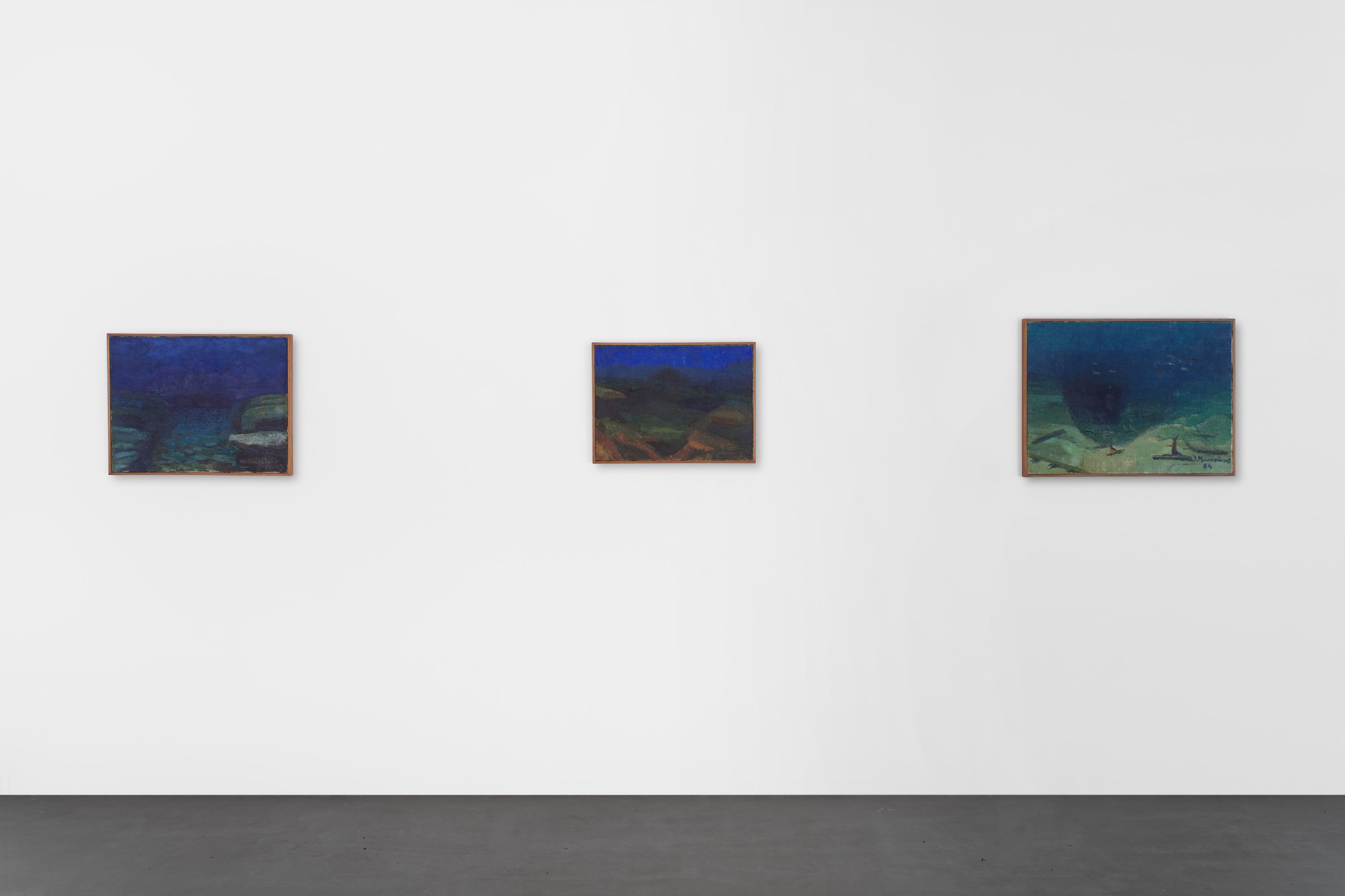 Estate of Yiannis Maniatakos, Installation view, Mutual Aid. Art in Collaboration with Nature, Castello di Rivoli Museo d’Arte Contemporanea, 2025