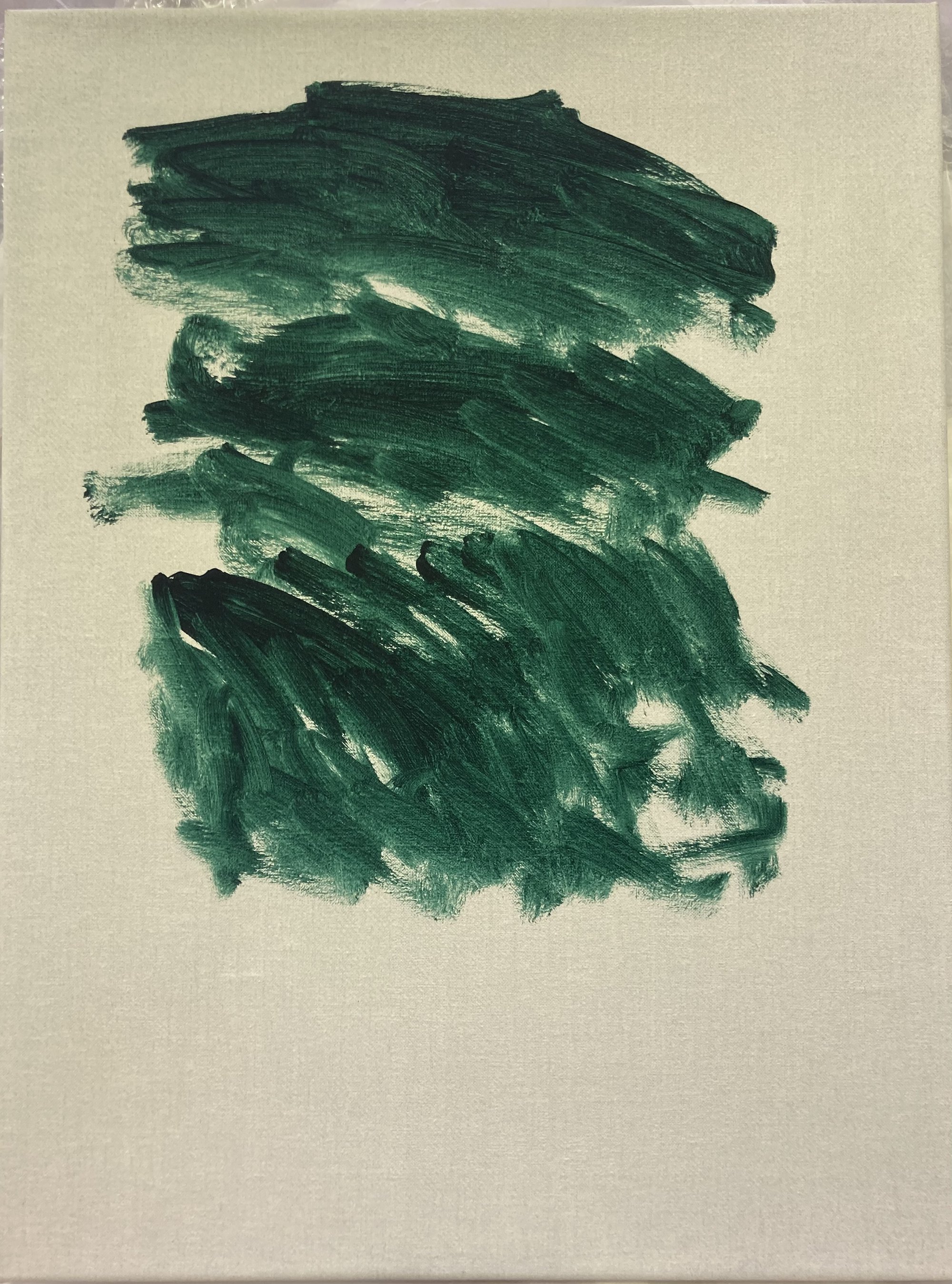 Ian Law, Colour study of a scouring pad, oil on linen, 41 x 30.5 cm, 2011