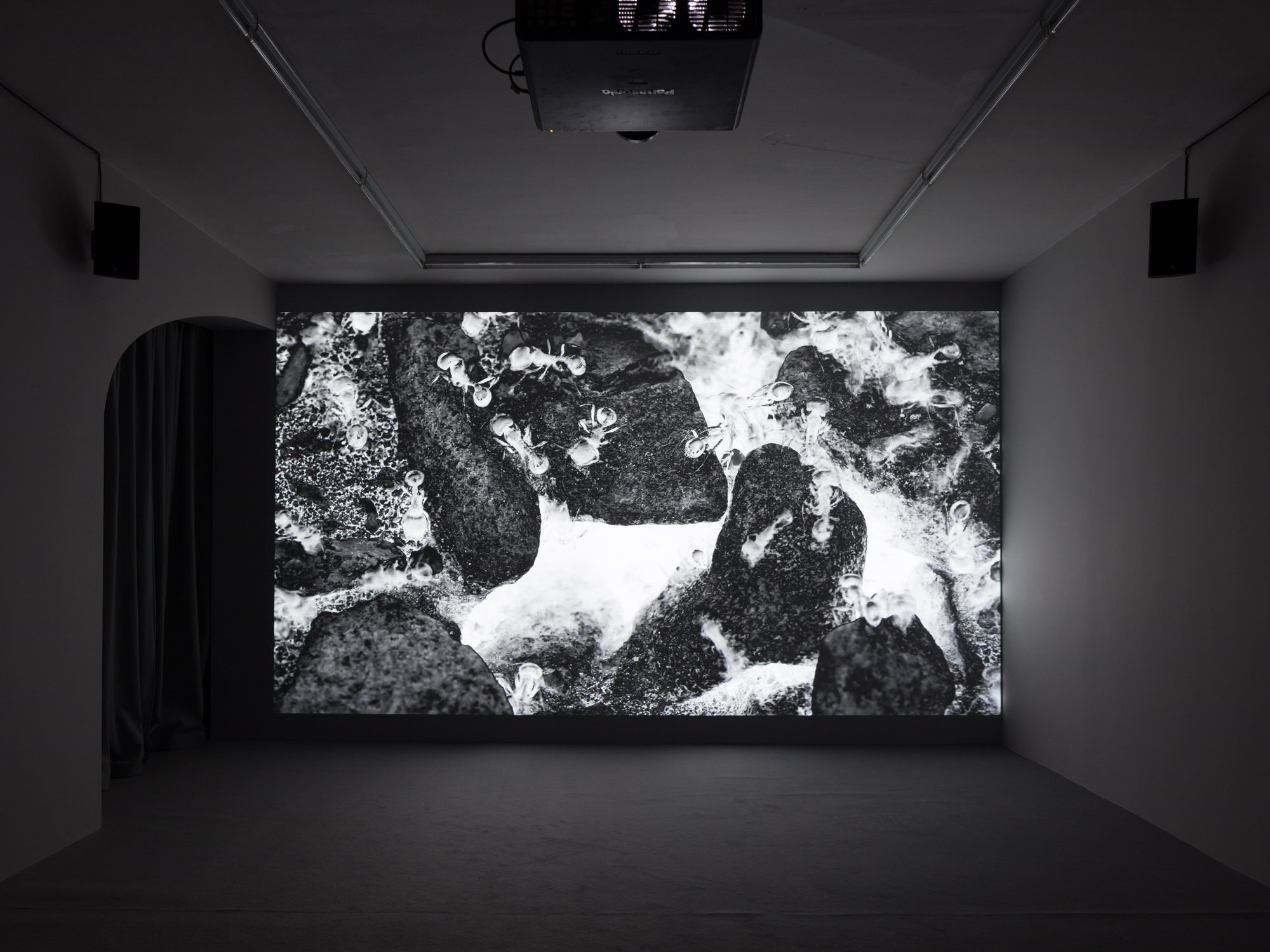 Leslie Thornton, Installation view, Cut from Liquid to Snake, Rodeo, London, 2018