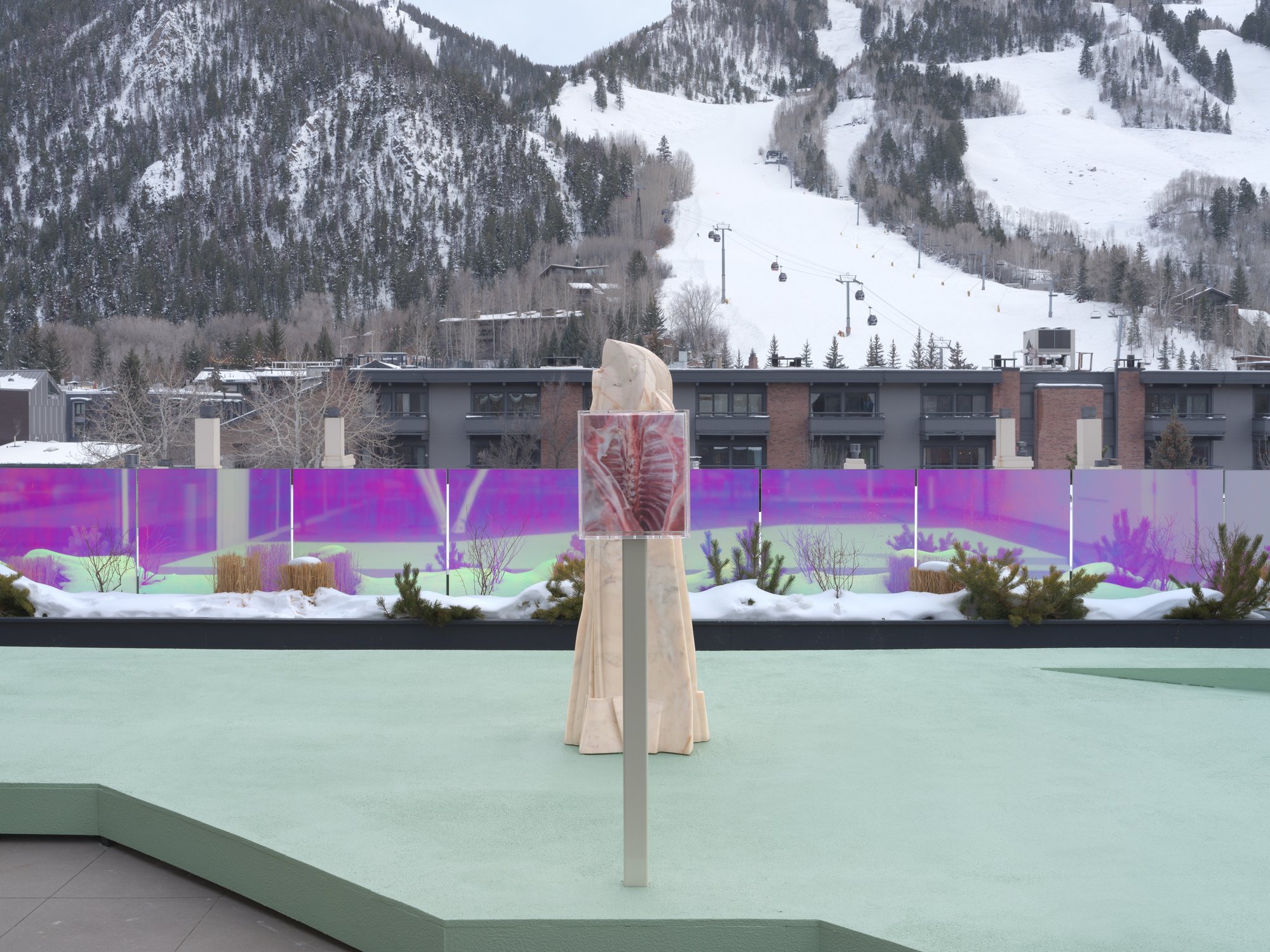Installation view, Shahryar Nashat, Raw Is the Red, Aspen Art Museum, 2025