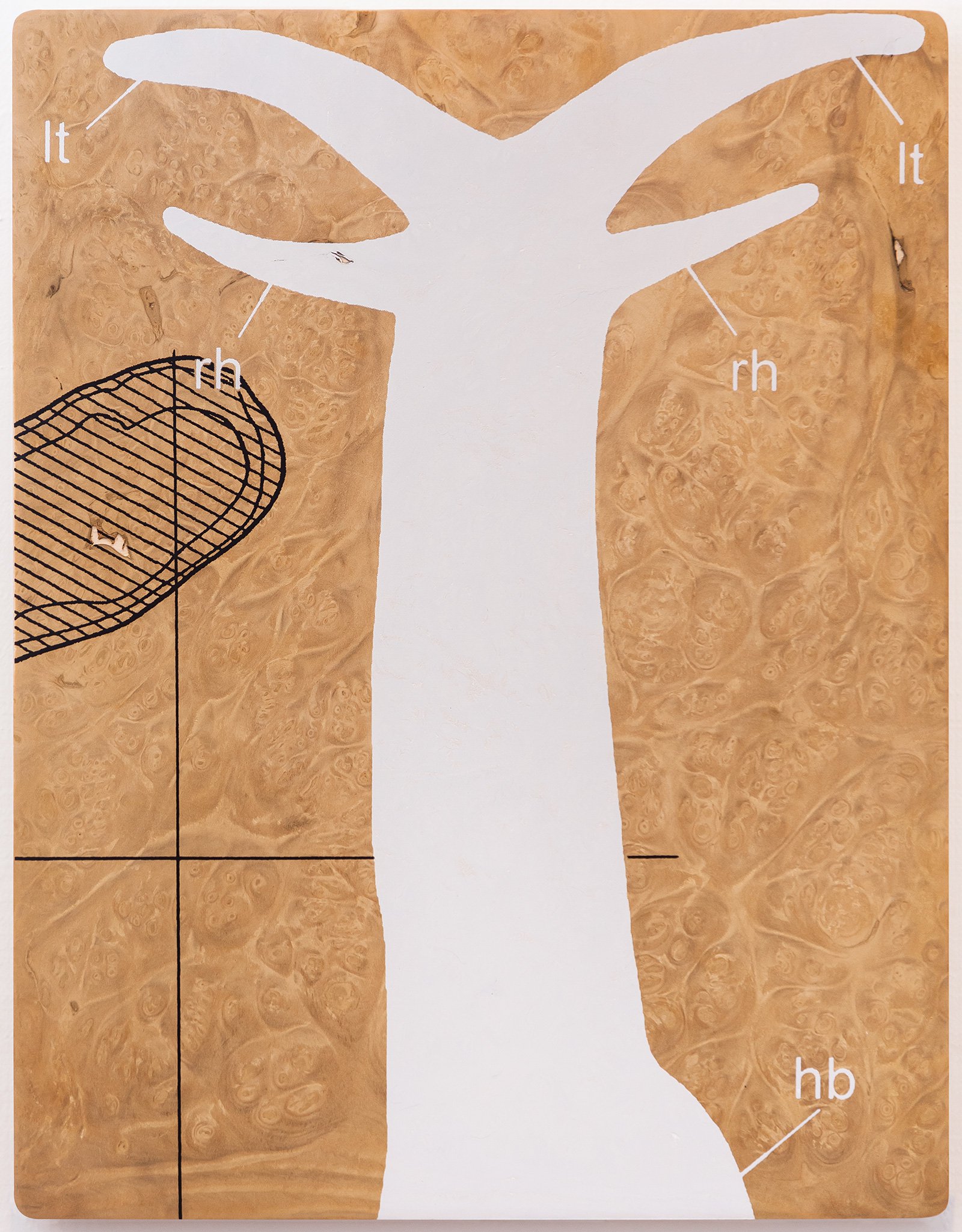 THE SCREENS with James Richards. September 7 – October 27, 2013