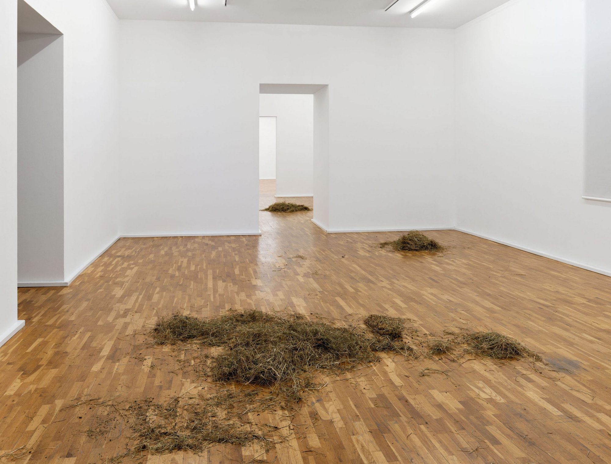 Jason Dodge, The living (Without an audience, several animals were brought into a room for some time and then returned to where they live), 2022, “Odor, Immaterial Sculpture”, MGKSiegen, 2022