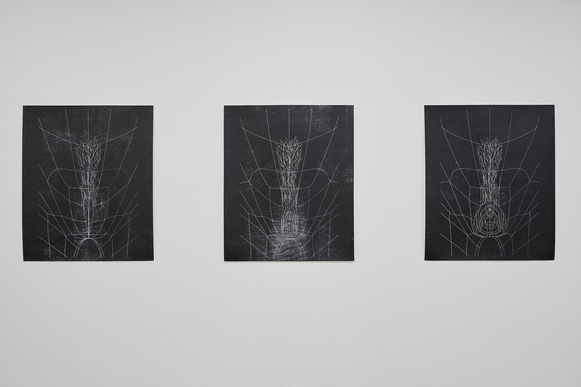 Installation view, Sidsel Meineche Hansen, LIVE LIFE WELL®, Center for Contemporary Arts, Prague, 2019