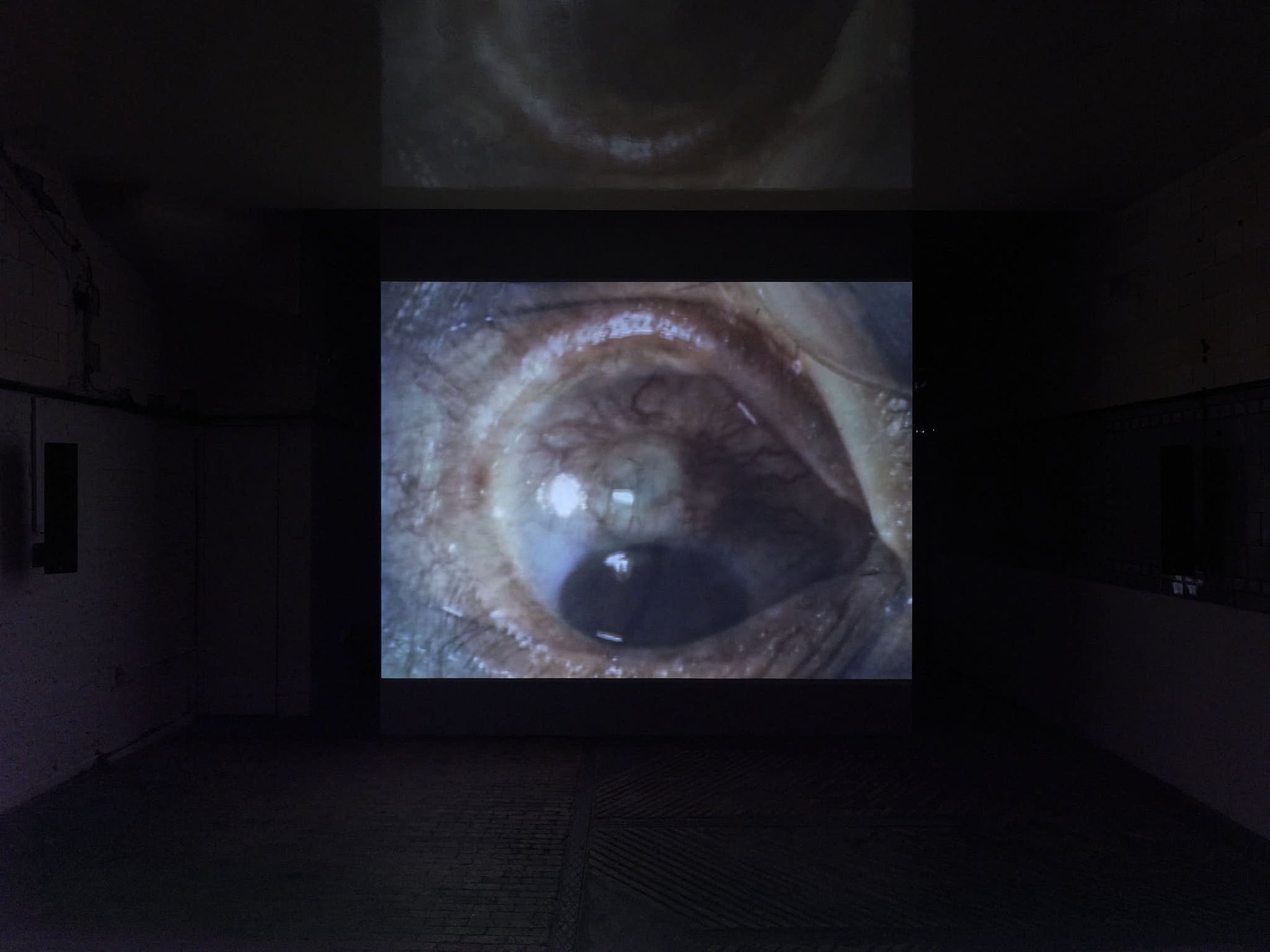 Installation view, James Richards, Fevers, Sylvia Kouvali, London, 2026