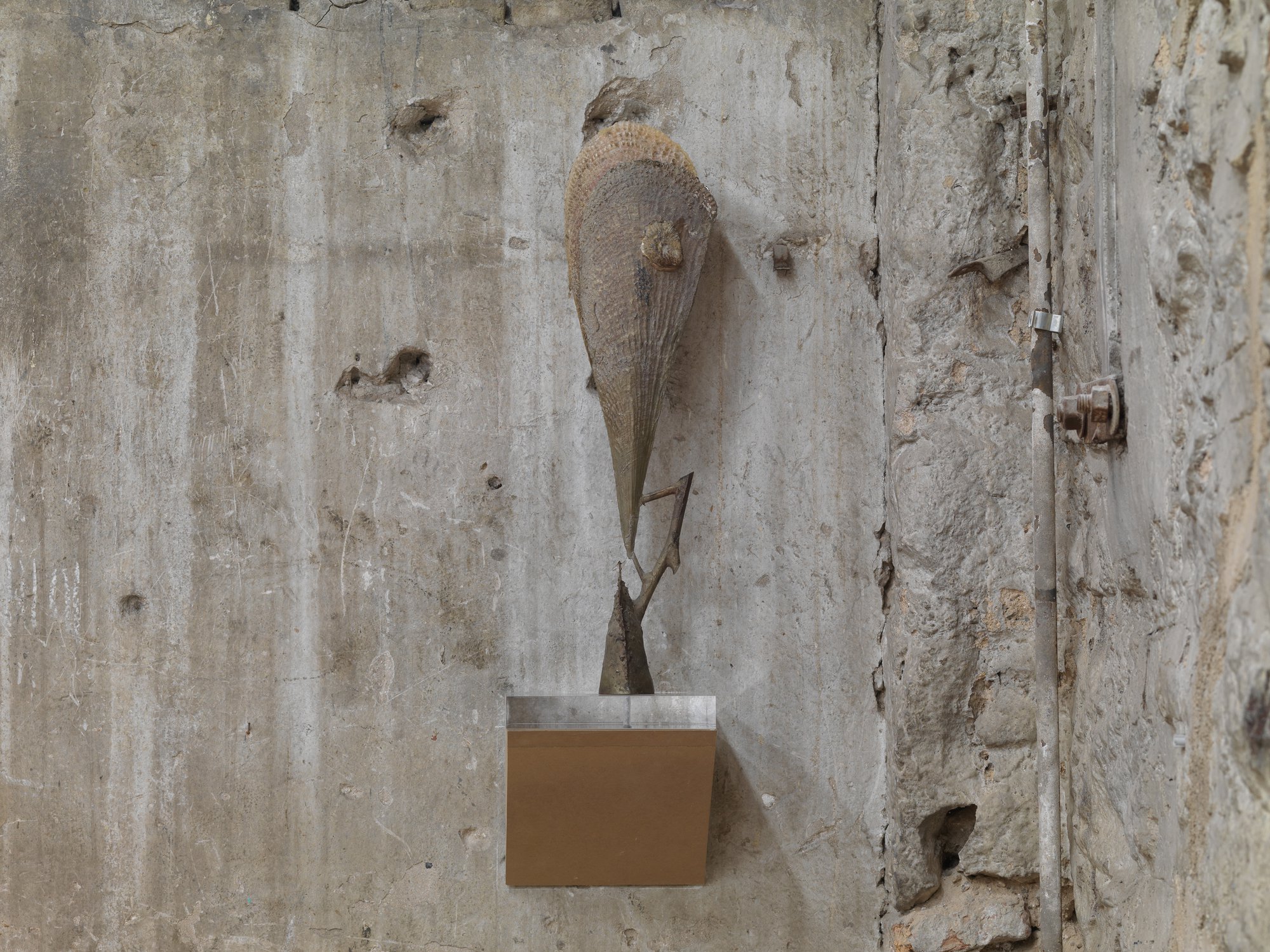 Giorgio Andreotta Calò, Pinna Nobilis, white bronze and fan mussel’s shell, lost wax casting, 56 x 18 x 7 cm (22 x 7 1/8 x 2 3/4 in), 2019