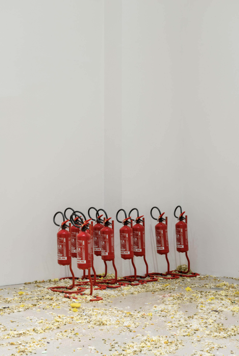 Jason Dodge, Installation View, Cut a Door in the Wolf, MACRO — Museum of Contemporary Art of Rome, 2021 - 2022